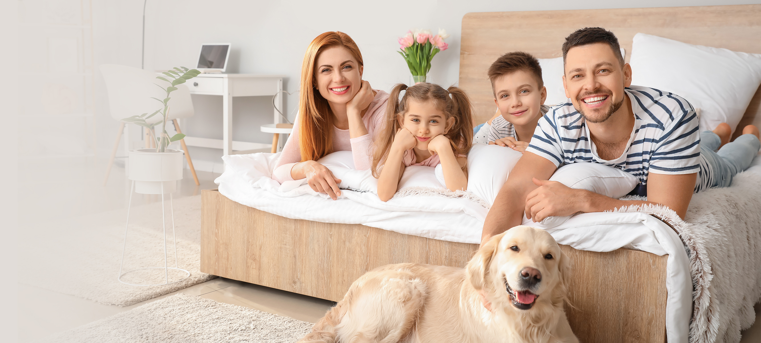 首页-BB贝博艾弗森公司官网