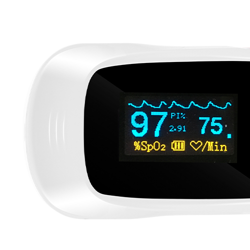 首页-BB贝博艾弗森公司官网